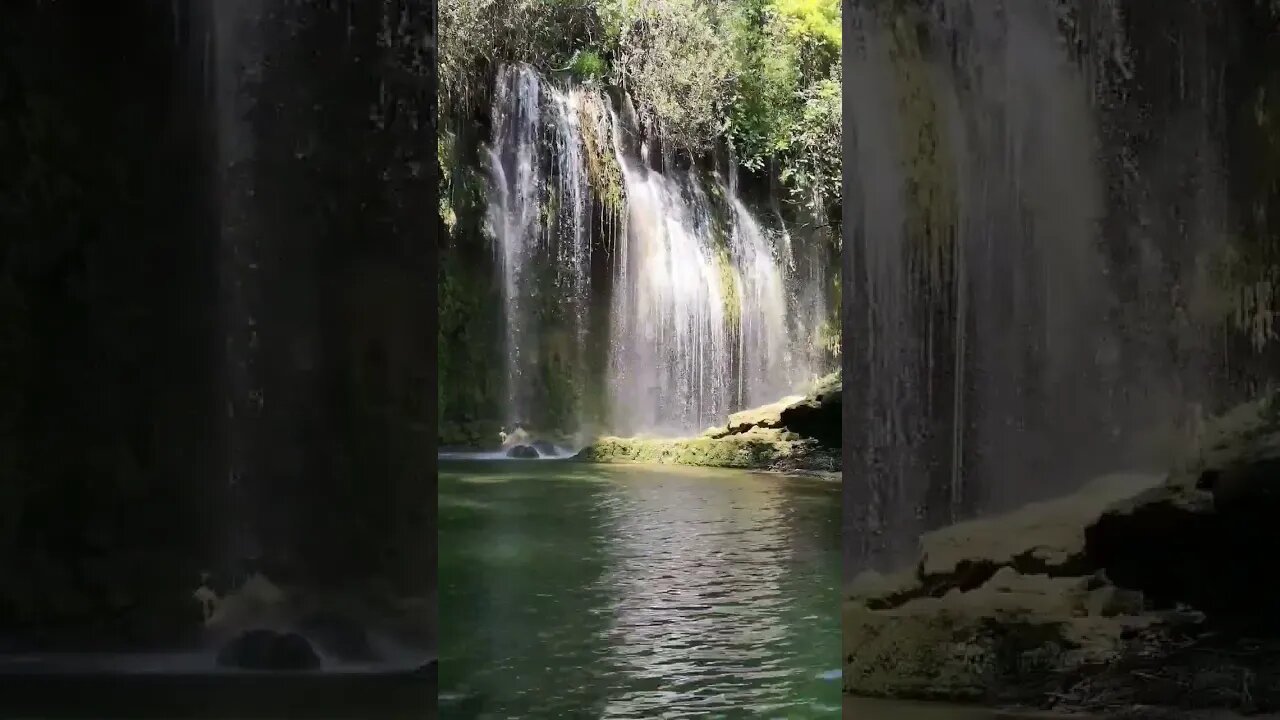 The jungle waterfall #shorts