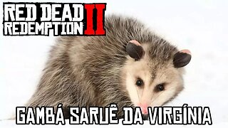 Melhor localização para caçar o Gambá Saruê em RDR 2