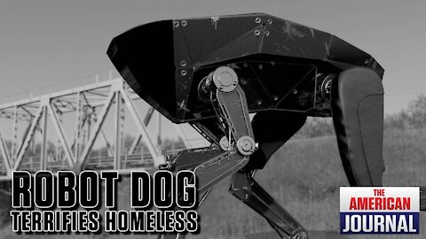 Robot Dog Unleashed On Homeless Community in Hawaii