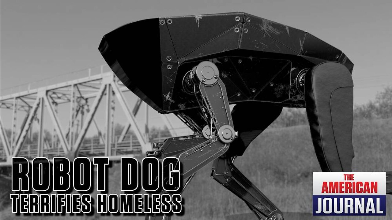 Robot Dog Unleashed On Homeless Community in Hawaii