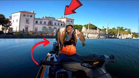 Catching Snapper from a Miami *CASTLE* (Catch and Cook)