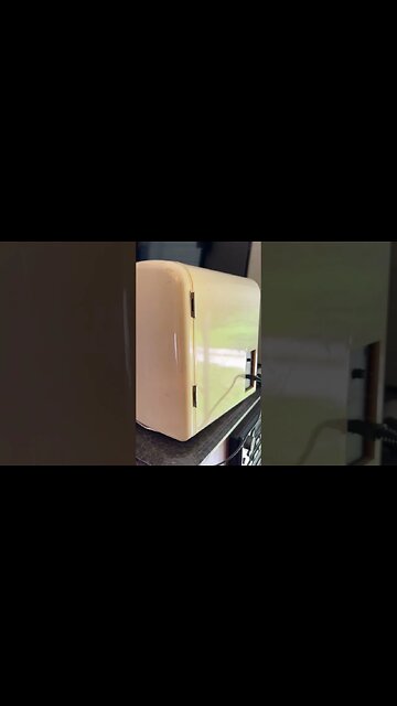 Smallest Refrigerator In The World