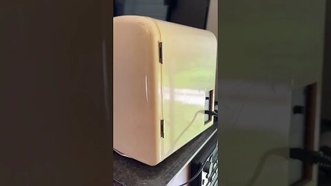 Smallest Refrigerator In The World