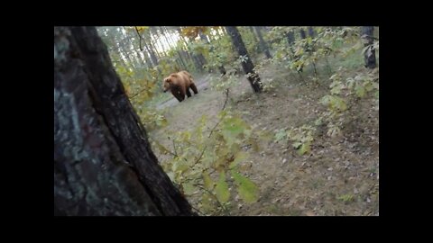 Bear Attack, Man is trying to run away from attacking Bear: GoPro