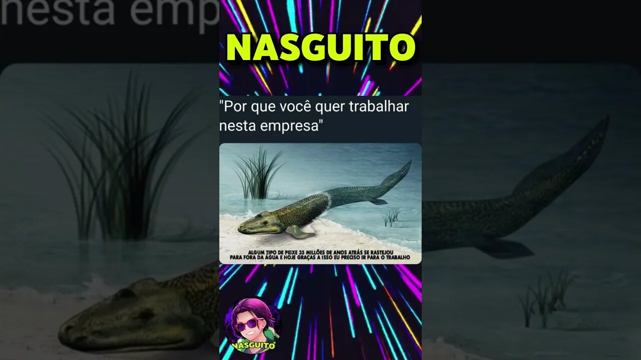 CAVALEIROS DO APOCALIPSE DOS TÍMIDOS