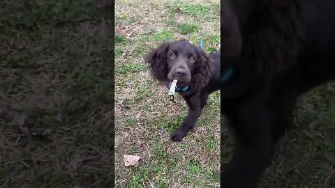 Do you smoke? Don’t start lol #shorts #emotional #outdoors