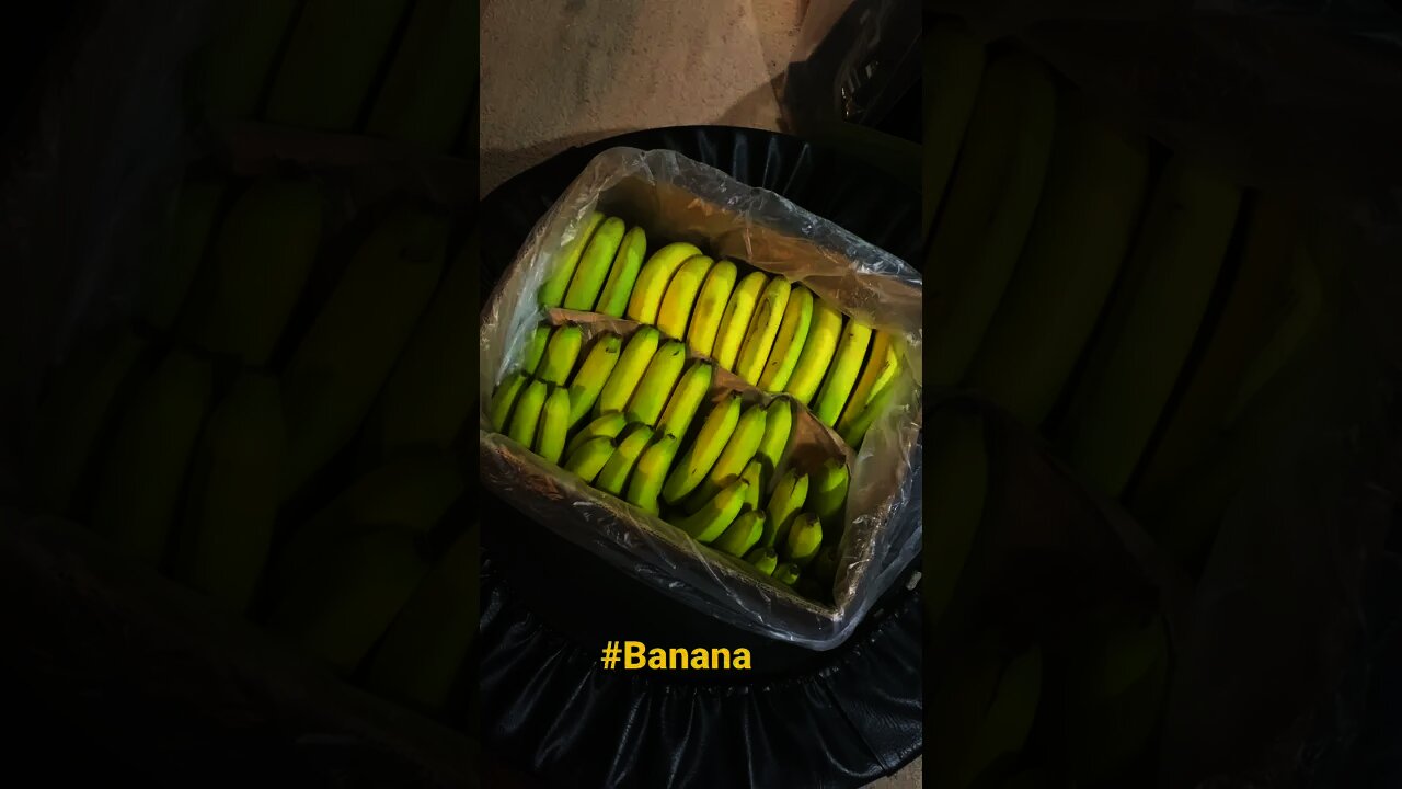 Banana is the ultimate budget food