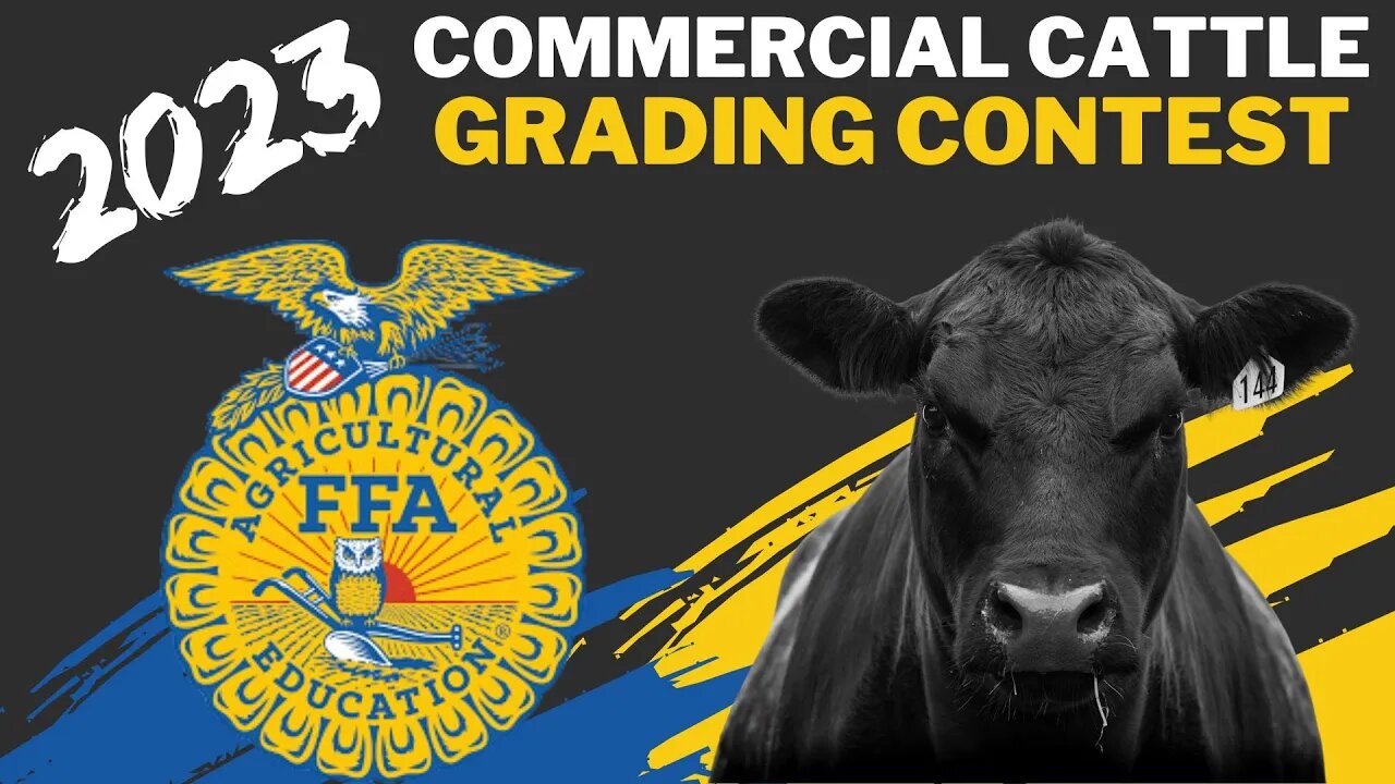 2023 FFA Commercial Cattle Grading Contest