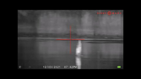 Wraith 2X Vs Beavers From a Boat #sightmark