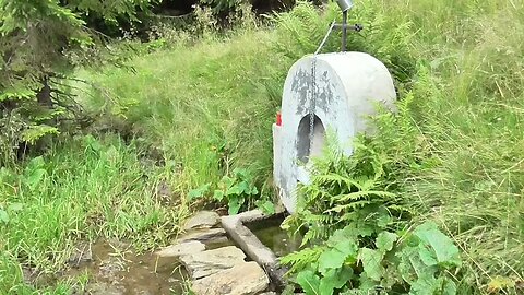 This Cat Discovers a Mountain Spring