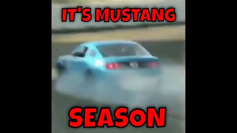 IT'S MUSTANG SEASON... #car #cars #fail #carshow #carcrash #mustang #crash