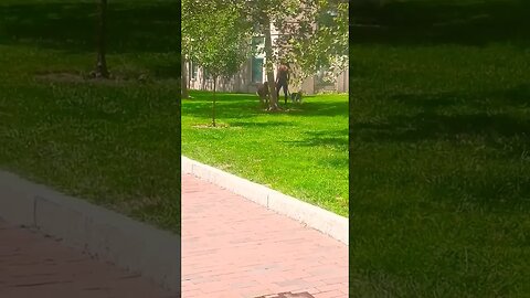 A Rich Community in America