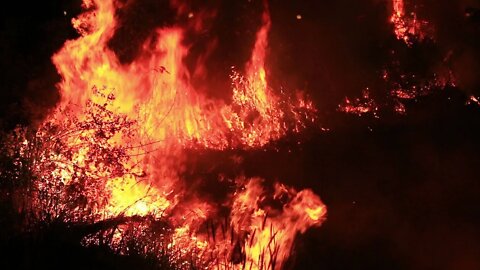Forest Fire Ambient Background Sound | Fire White Noise