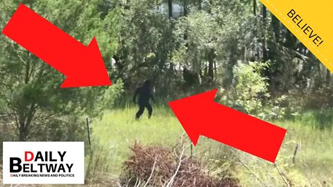 BIGFOOT WARNING SIGNS POSTED! IS BIGFOOT REAL?