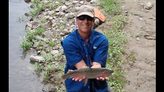 Fishing for New Zealand Rainbow Trout