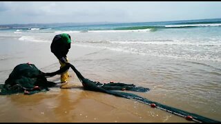 SOUTH AFRICA - Durban - Sardines being netted at Durban beachfront (Videos) (kdw)