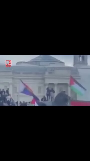 Pride Flag Doesn't Last Long At Pro Palestine Rally