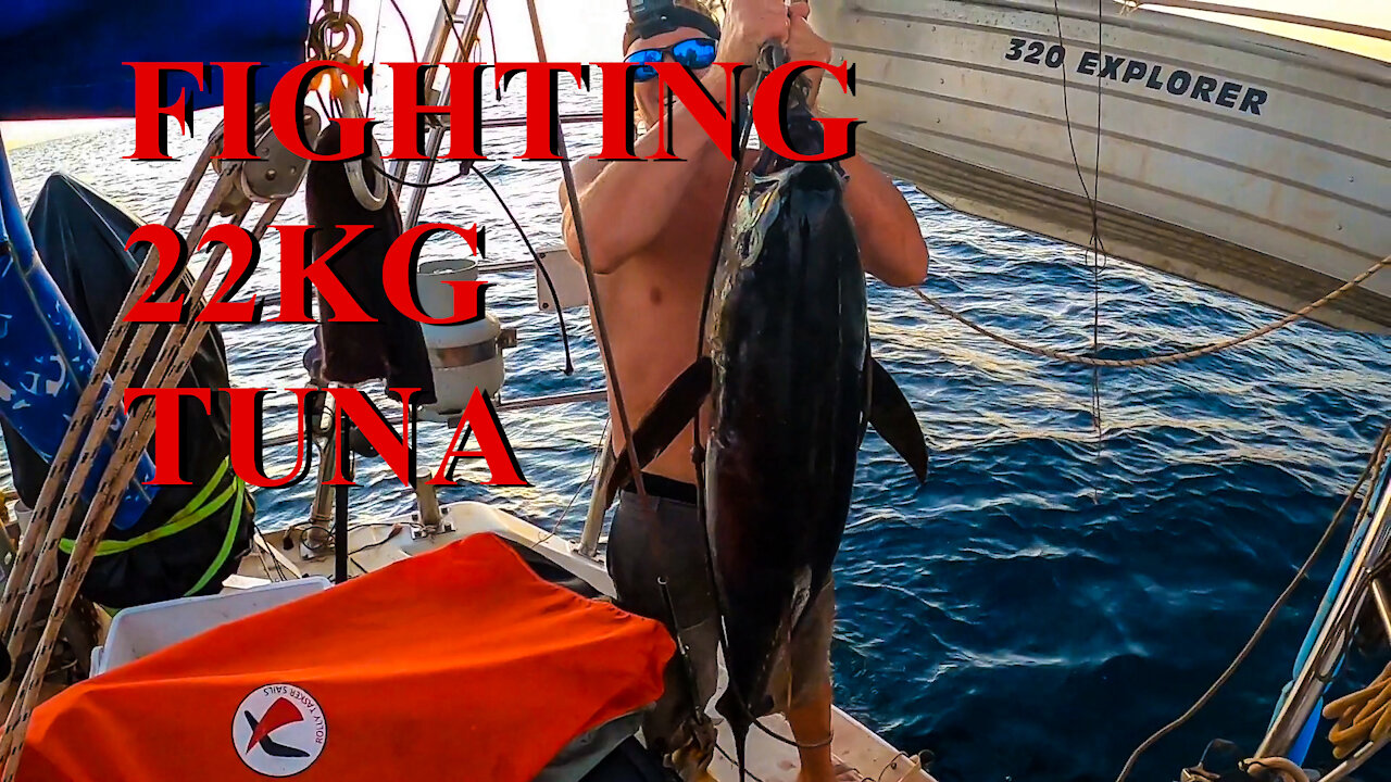 Yellowfin Tuna - Ep 17