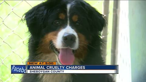 Sheboygan County dog abuse suspects face a combined 113 charges