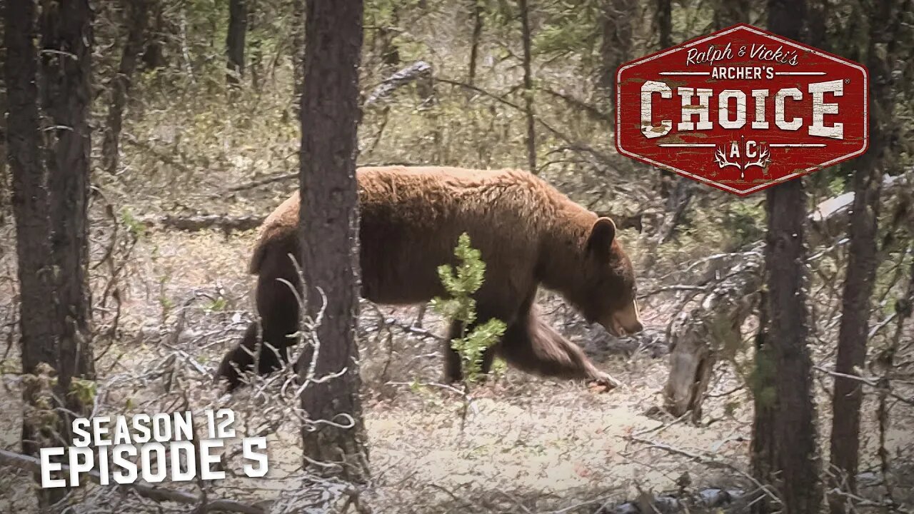 SASKATCHEWAN & MANITOBA BEAR'N DOWN - Archer’s Choice (Full Episode) // S12: Episode 5