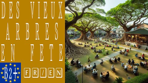 Des vieux arbres en fête