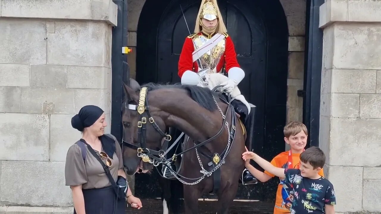 Young boy bitten on the top of his head #horseguardsparade