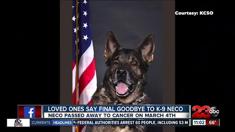 Loved one say final goodbye to K-9 Neco