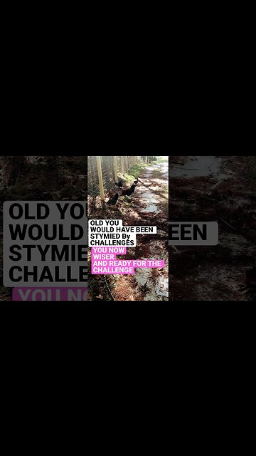 🐣NO FLOCKING STOPPING NEW YOU🦋💥CHALLENGES ARE A CHANCE TO ADAPT& USE YOUR WISDOM👏YOU’V GOT THIS