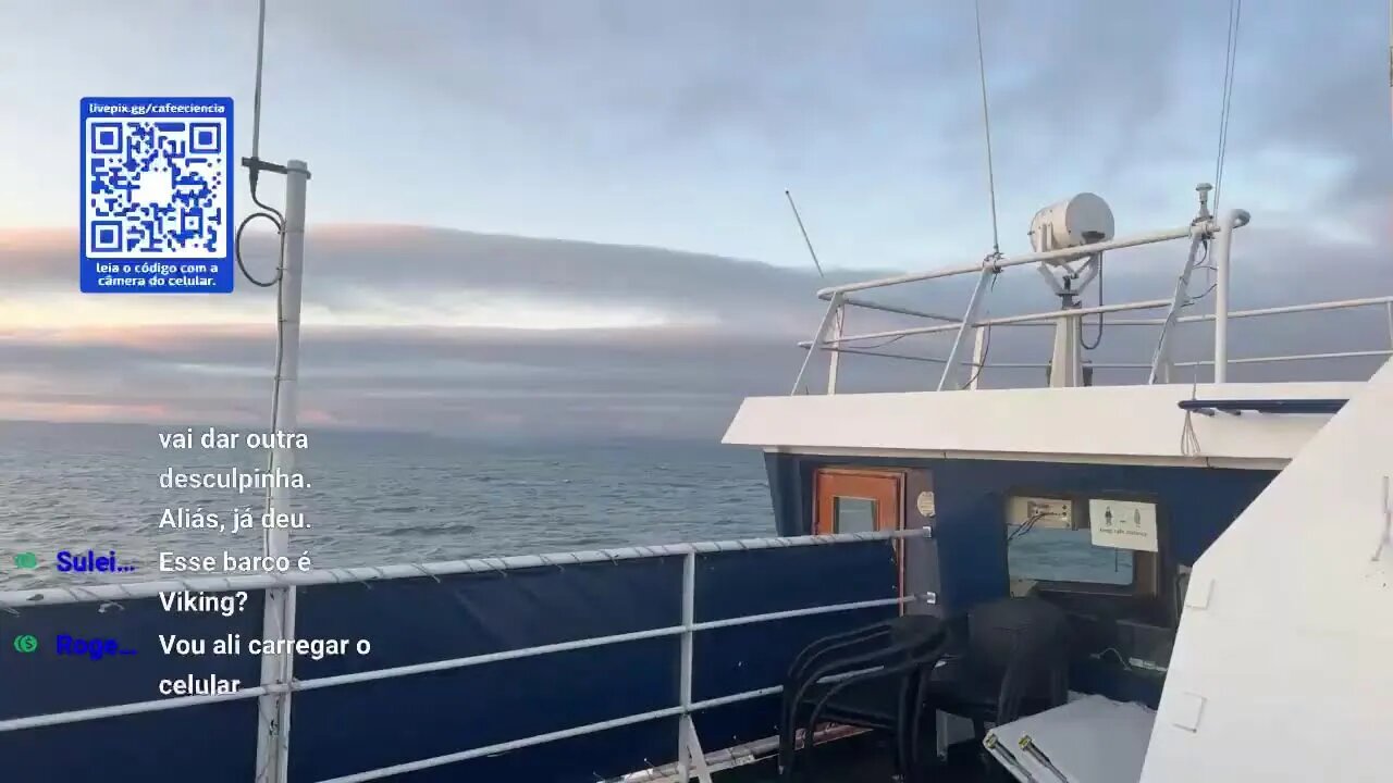 Live: De barco voltando do Glacier Safari | Svalbard