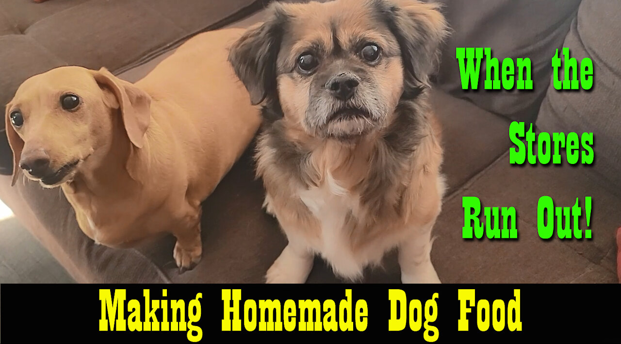 Homemade Dog Food ~ When the Stores Run out or the Price is too High!