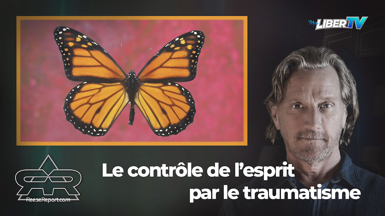 Le contrôle de l'esprit par traumatisme | The Reese Report