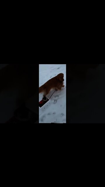 Merry Christmas to all of you