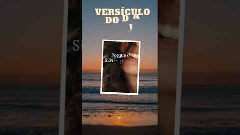 VERSÍCULO DO DIA 21/11/2022.#shorts