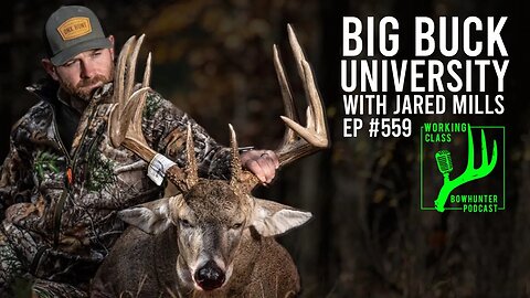 How Jared Mills Kills Big Bucks - WCB Podcast #559