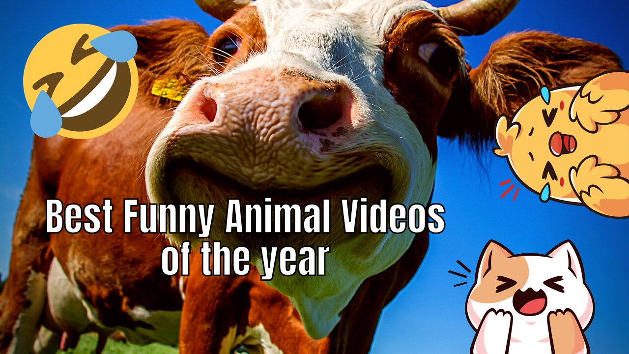 Best Funny Animal Videos of the year (2021) - Funniest animals ever - Relax with cute animals