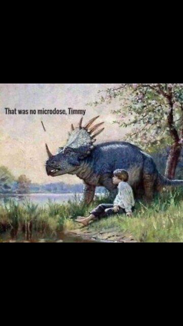 DMT Experiences | Best TikToks Ever