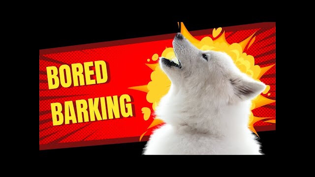 TOP 10 dog barking videos compilation 2023♥Dog barking sound - Funny