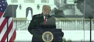 Rep. Titus joins lawmakers calling for president's impeachment