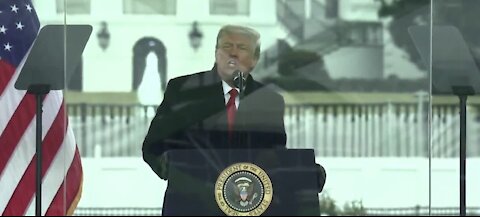 Rep. Titus joins lawmakers calling for president's impeachment