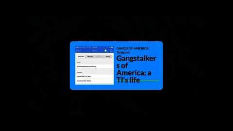 Headliner gangstalkers : a TI's life