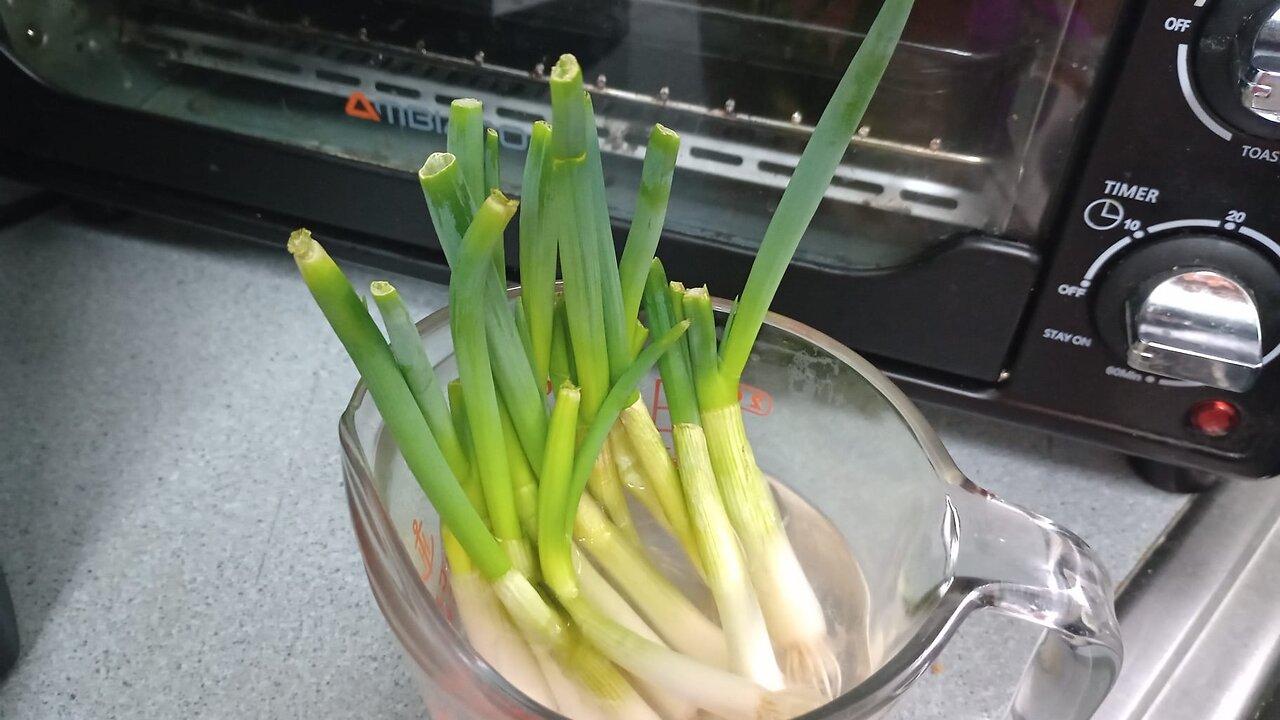 spring Onion homemade hack