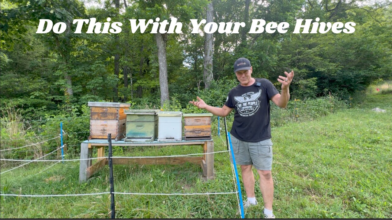 Do This One Thing to Protect Your Bees From Skunks