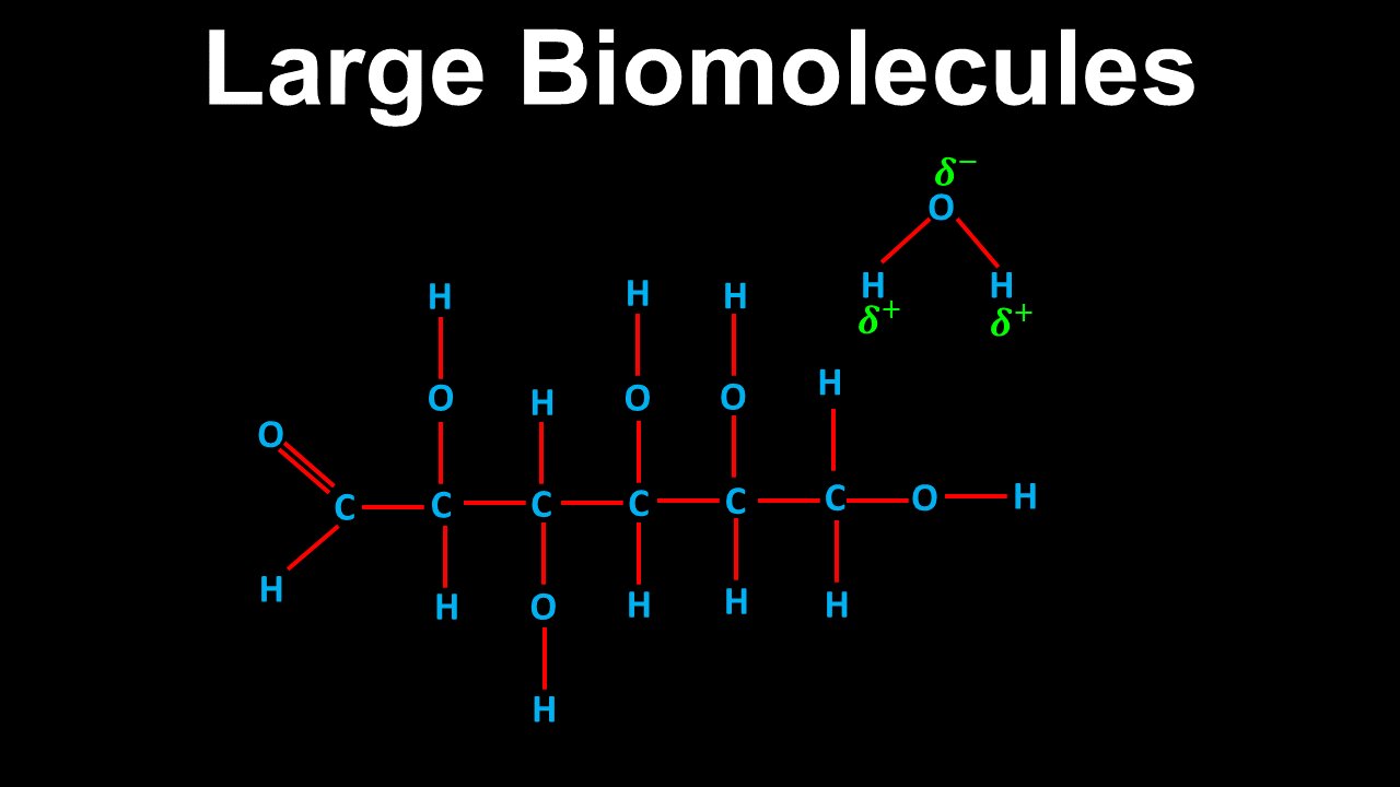 Large Biomolecules, Non-Covalent Interactions - AP Chemistry