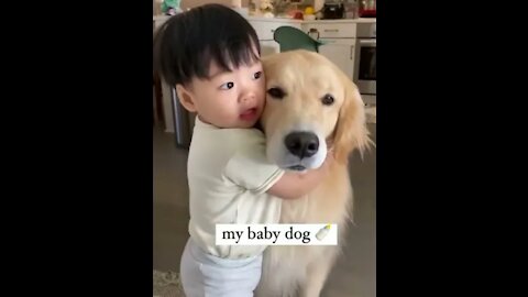 Cutest dogs video compilation ever😍