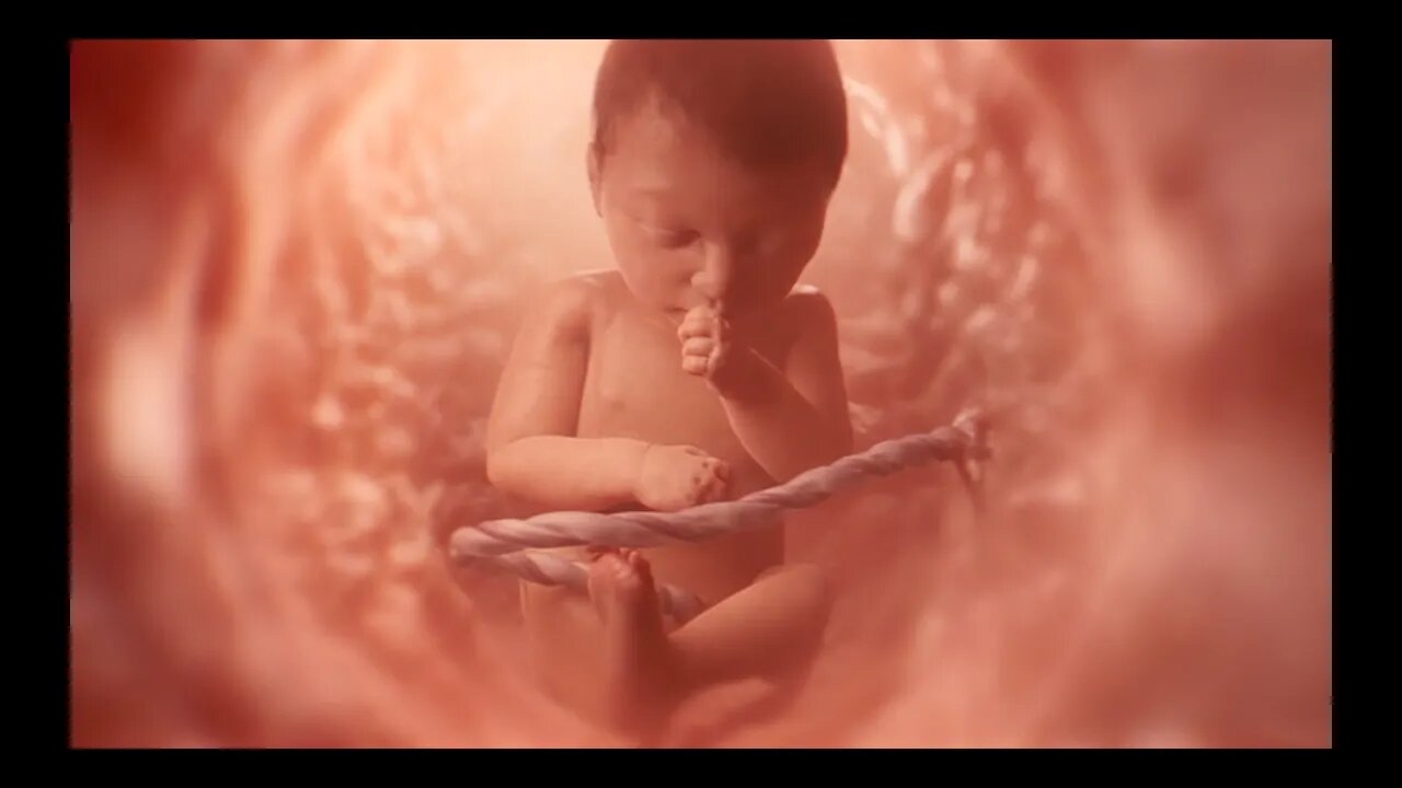The Science is Crystal Clear On The Beginning Of Life