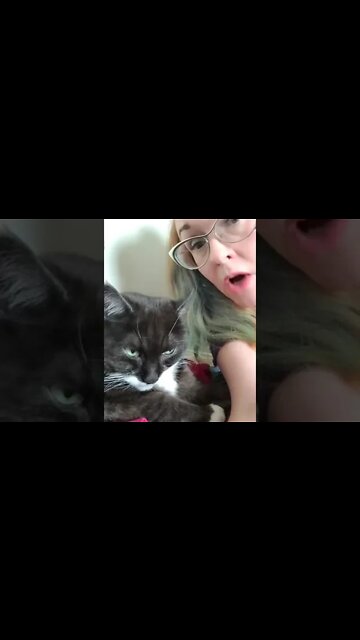 Freedom Convoy 2022 Emergency Act Inquiry Phantom Honking #honkhonk #emotionalsupportanimal