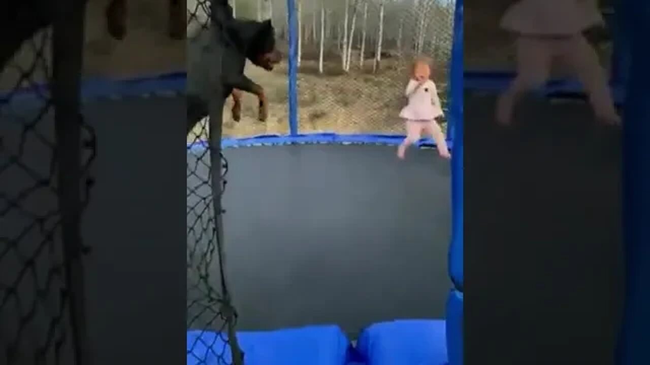 The most wholesome thing you will see all week!