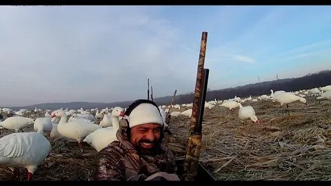 Illinois Snow Goose Hunt 2023