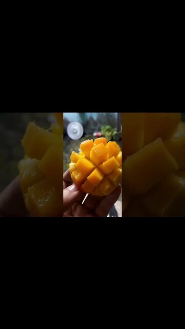 #Shorts #Food #Fruit #Mango