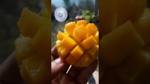 #Shorts #Food #Fruit #Mango